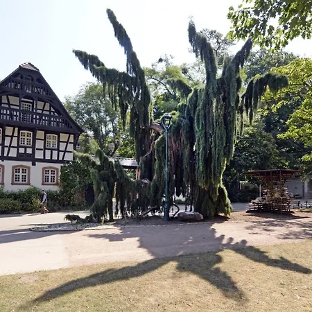 Loge Bleue De Thermal- Artem - Parc Ste-marie Appartement *