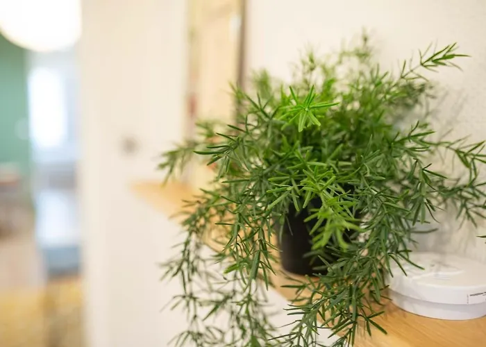 Loge Bleue De Thermal- Artem - Parc Ste-marie *